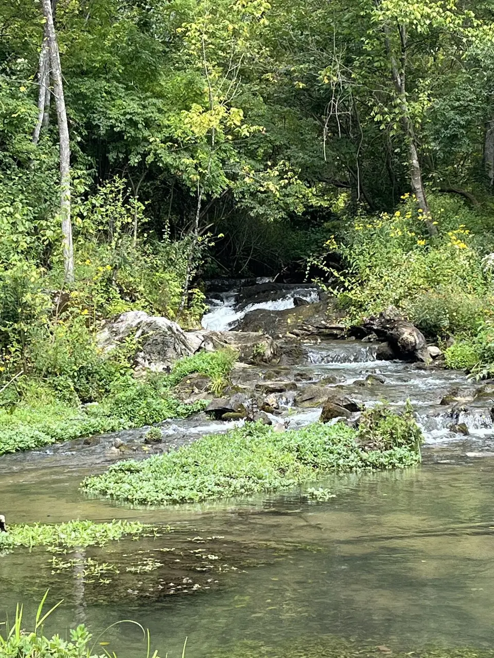 Abingdon, Virginia — September 4, 2025