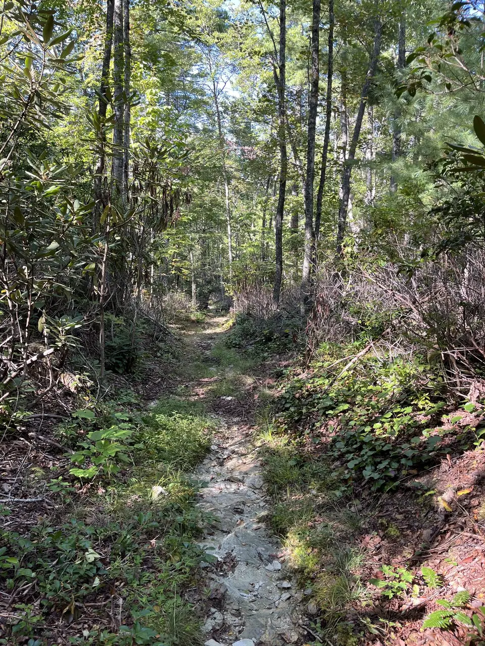 Near Spruce Pine, North Carolina — September 8, 2025