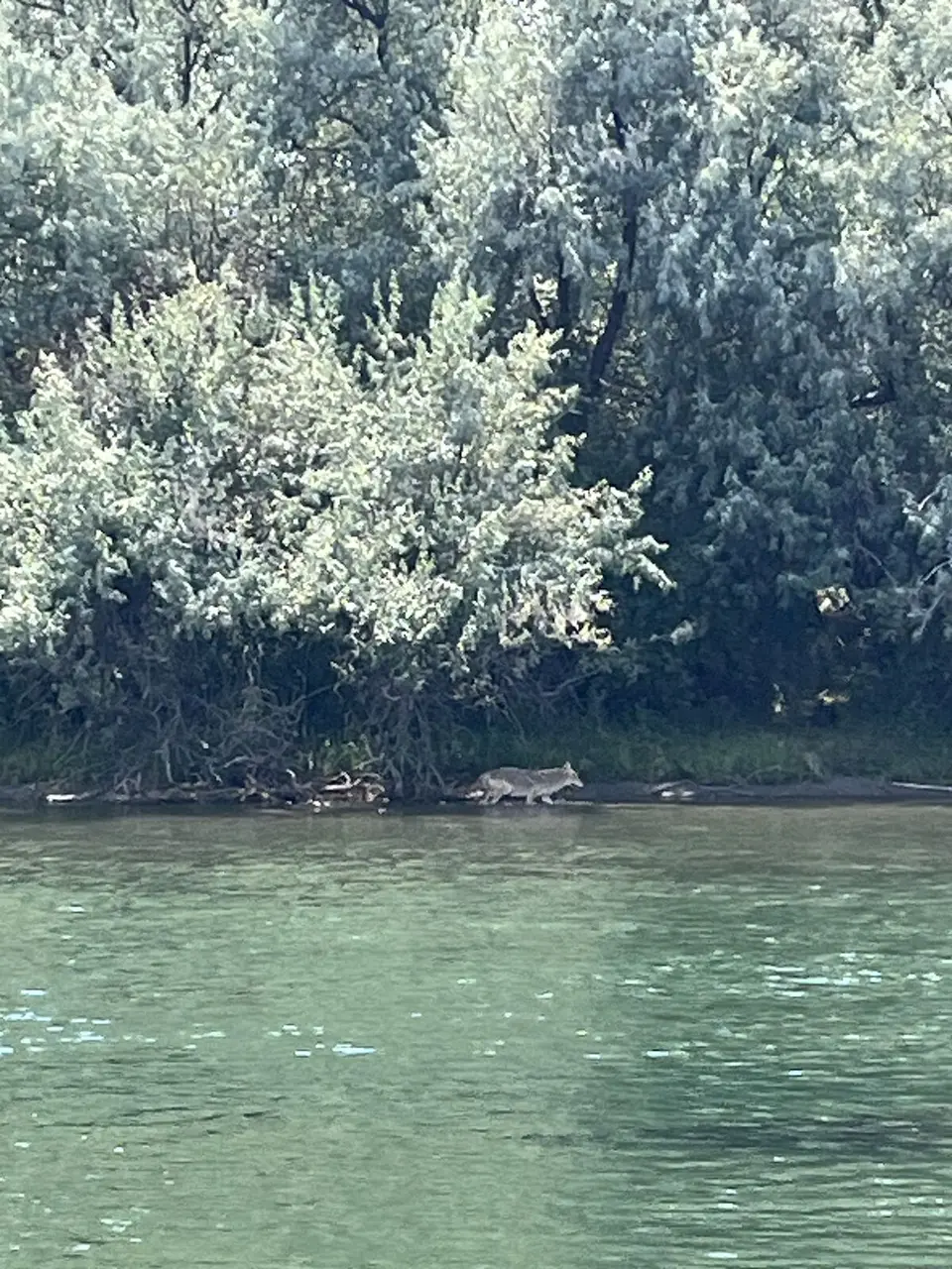 Near Glasgow, Montana — August 1, 2025
