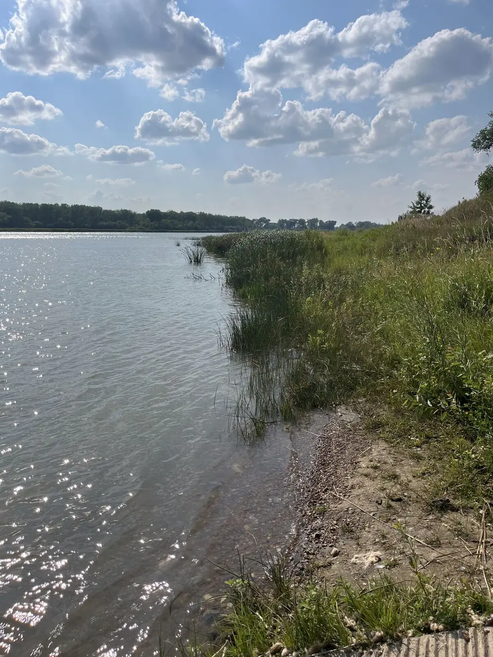 LC Trail — August 1, 2025