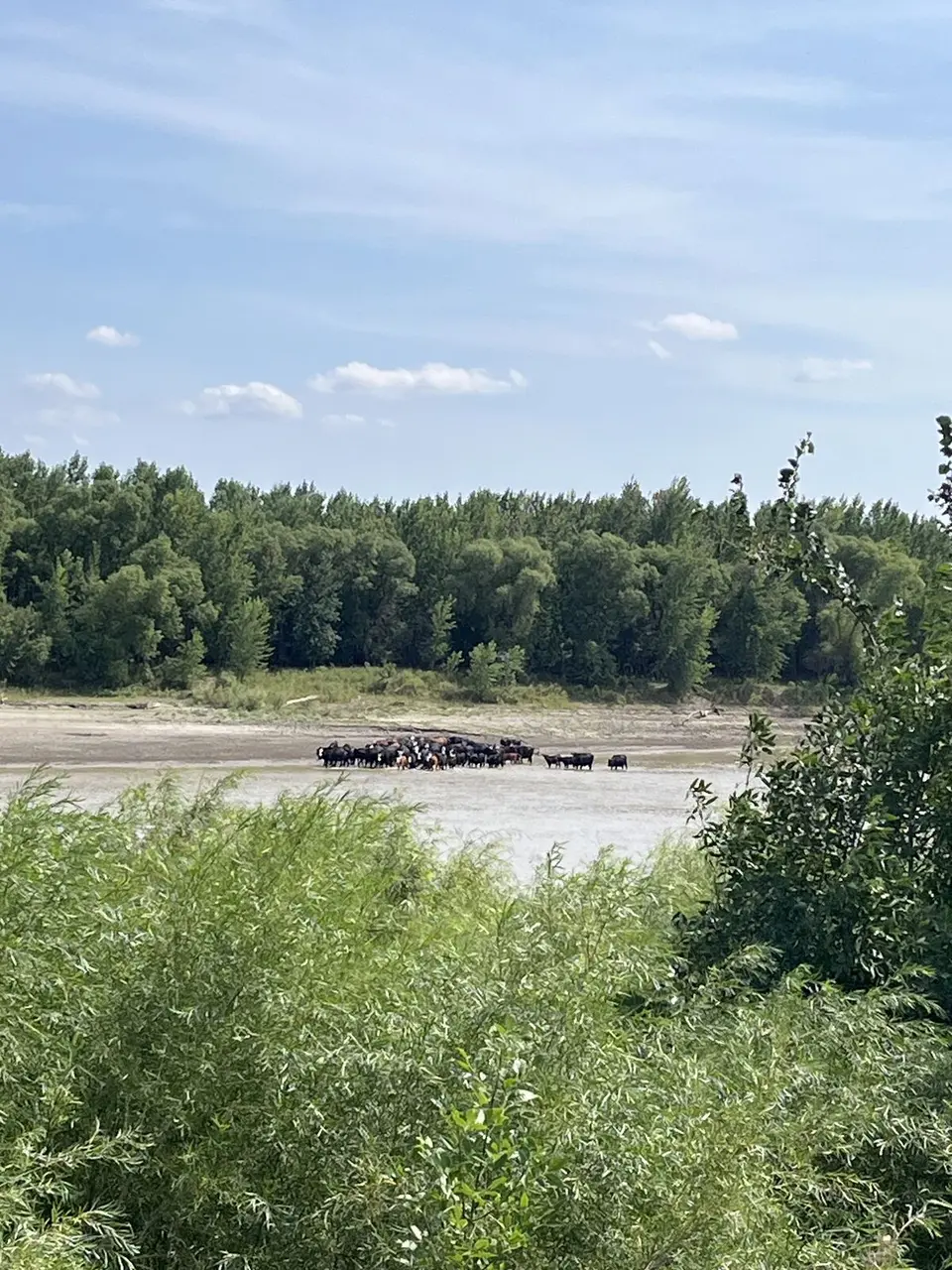 Williams County, North Dakota — August 2, 2025