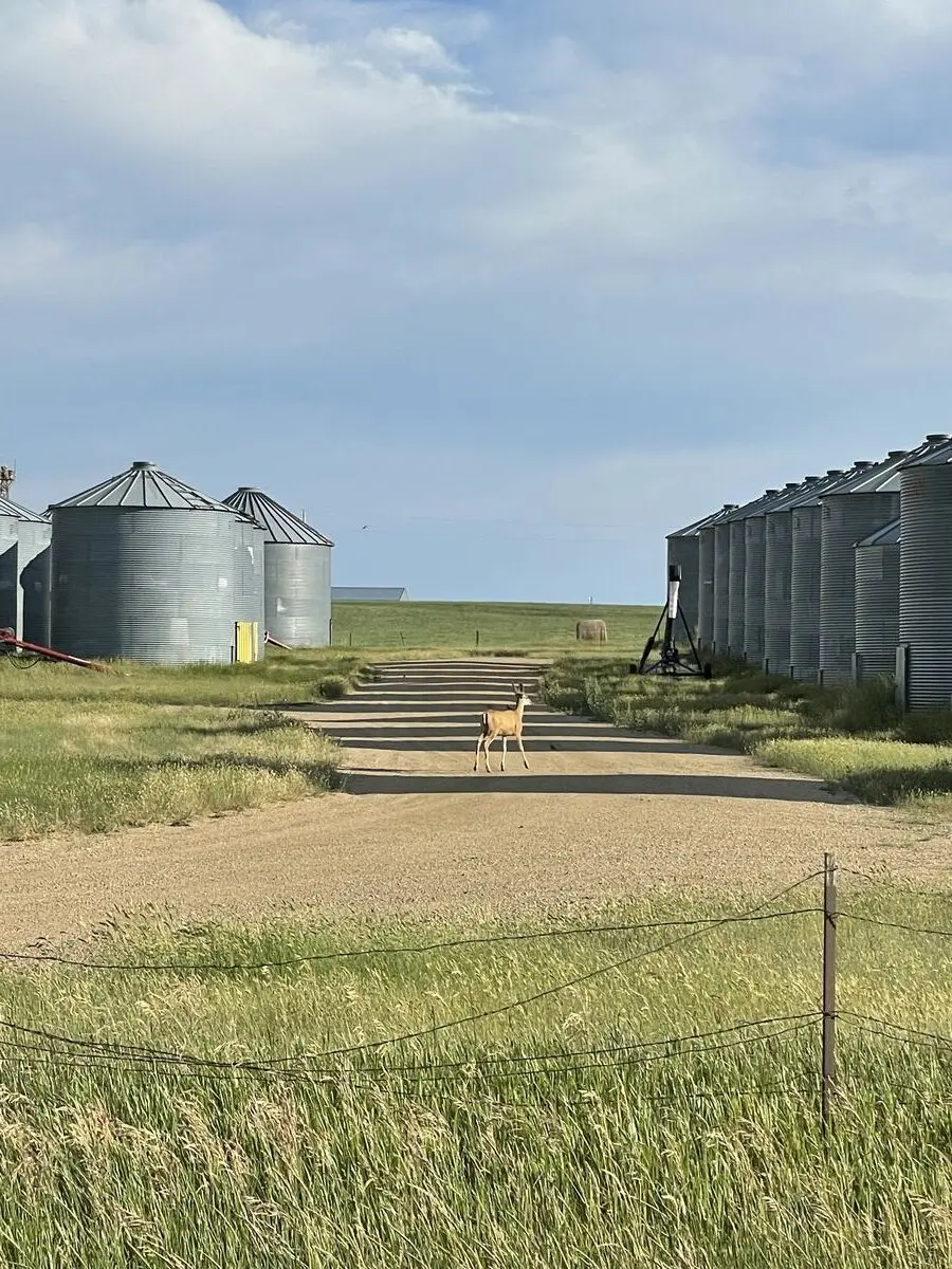Fergus County, Montana — July 15, 2022