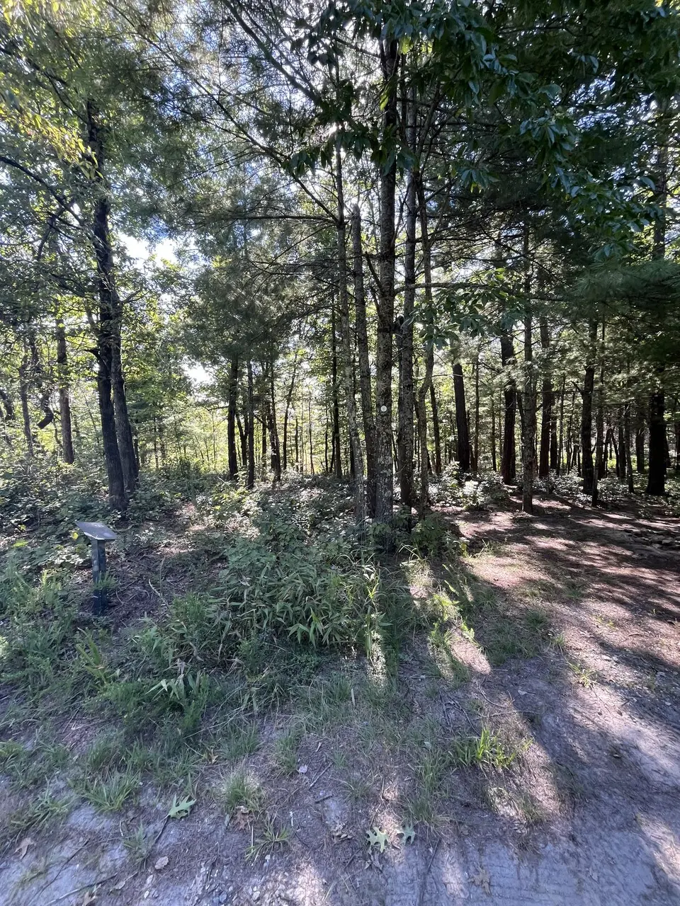 Near Marion, North Carolina — September 8, 2025