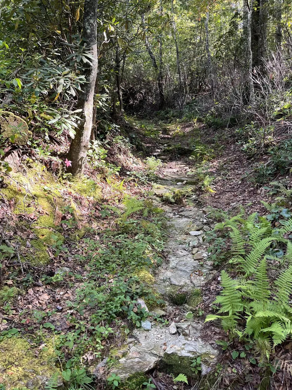 Near Spruce Pine, North Carolina — September 8, 2025