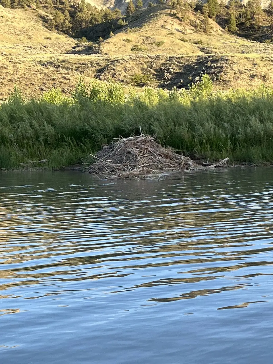 Blaine County, Montana — July 15, 2022