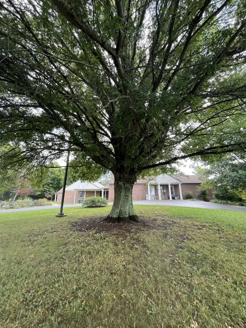 Near Oak Grove, Tennessee — September 5, 2025
