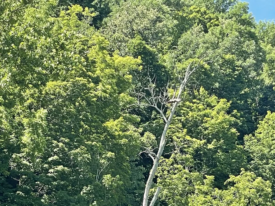 Ohio River, near Buckner, Kentucky — June 24, 2022