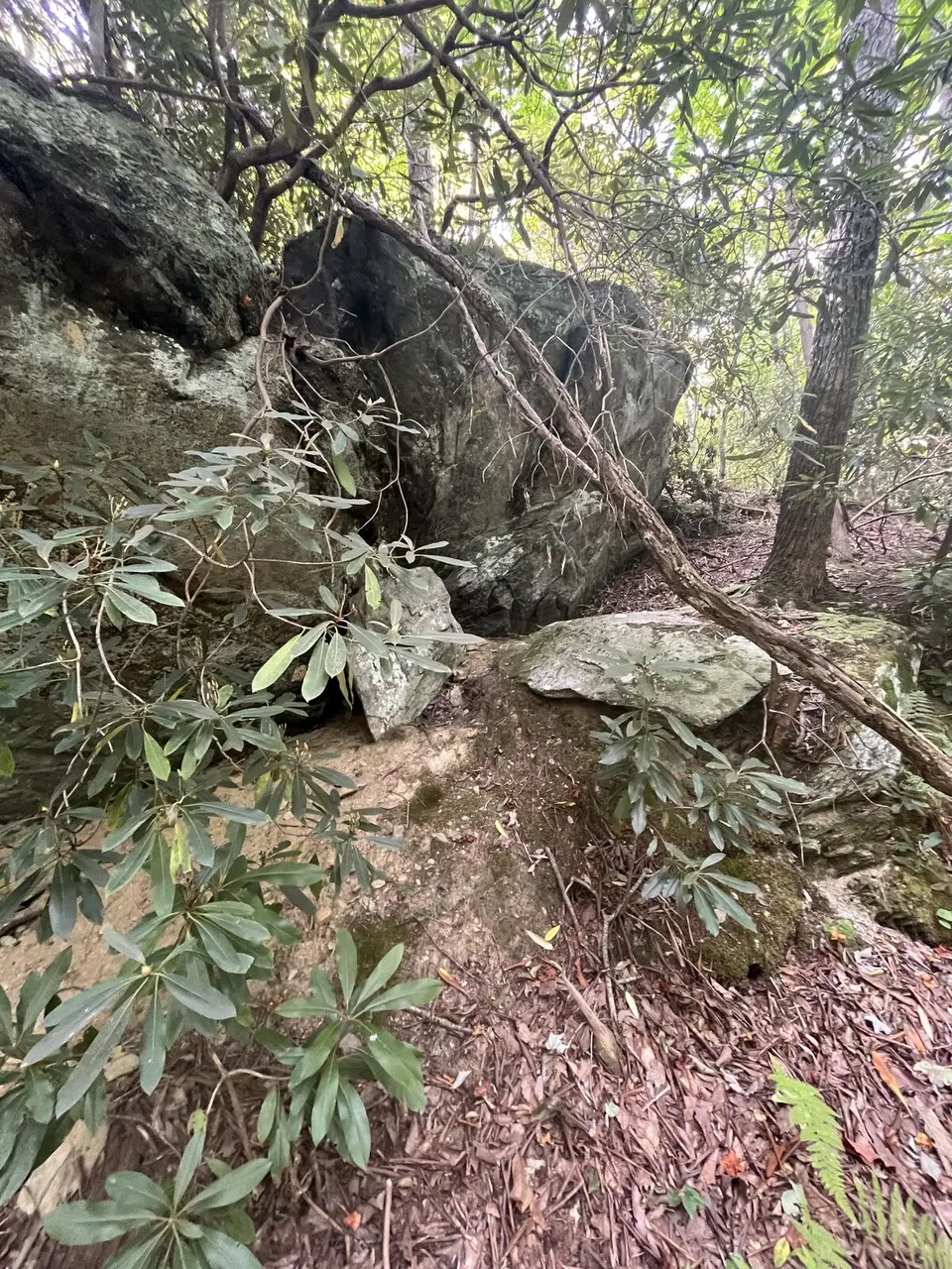 Near Marion, North Carolina — September 9, 2025