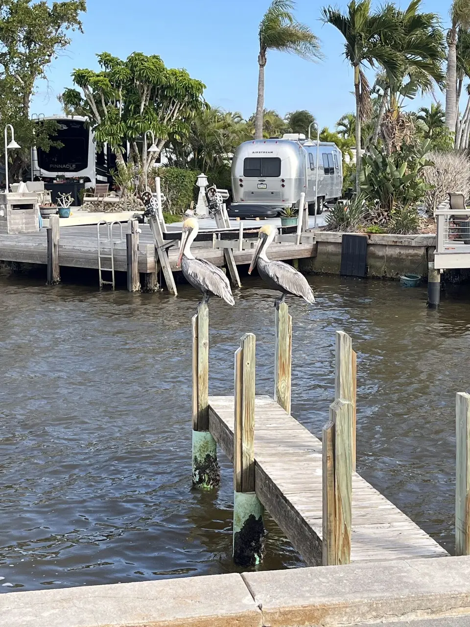 Collier County, Florida — January 15, 2025