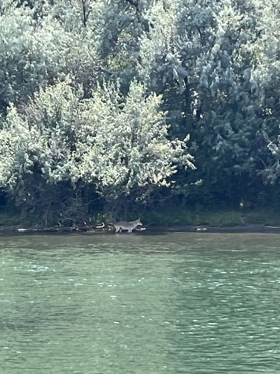 Near Glasgow, Montana — August 1, 2025