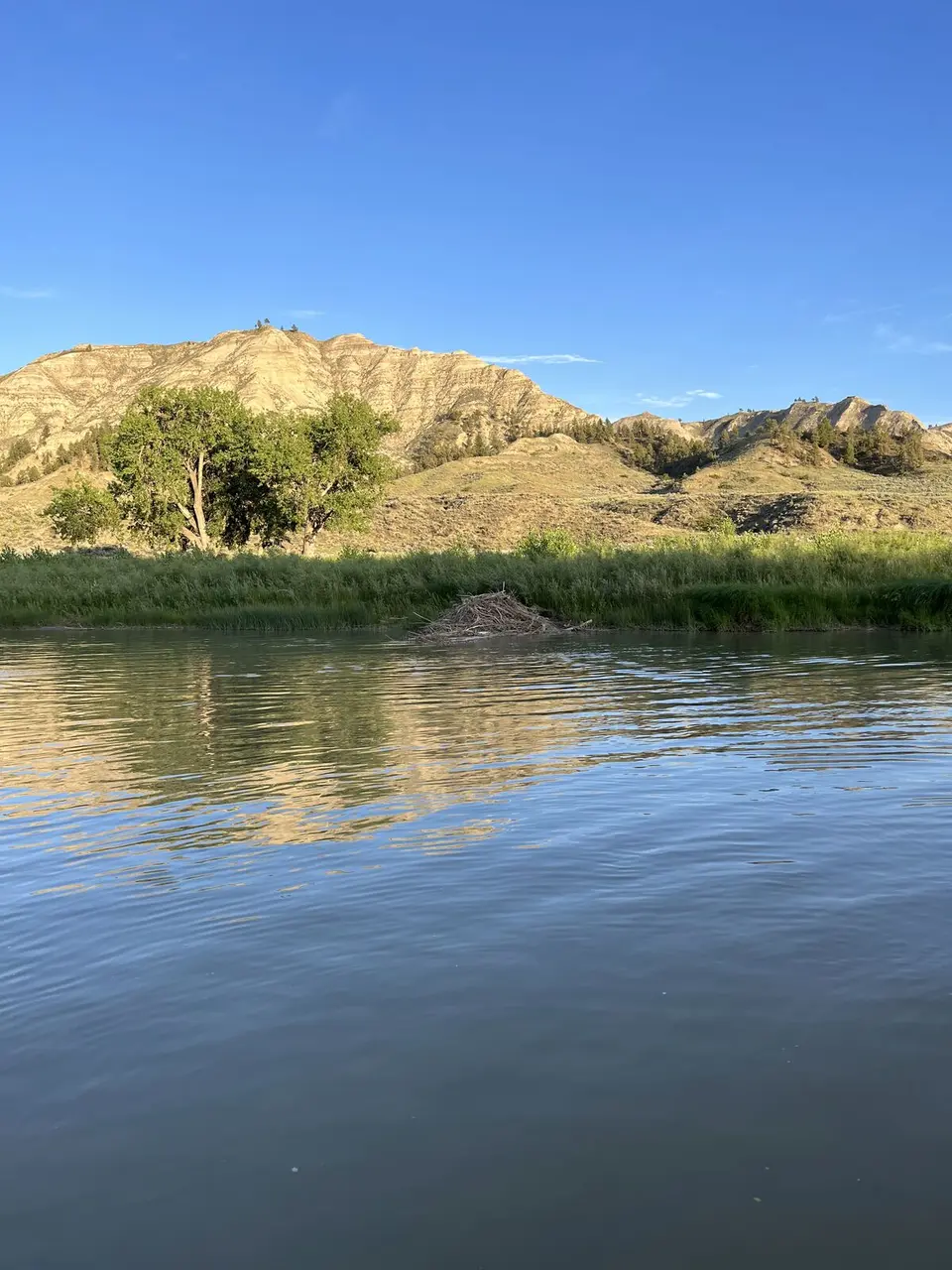 Trail Mapping — July 15, 2022