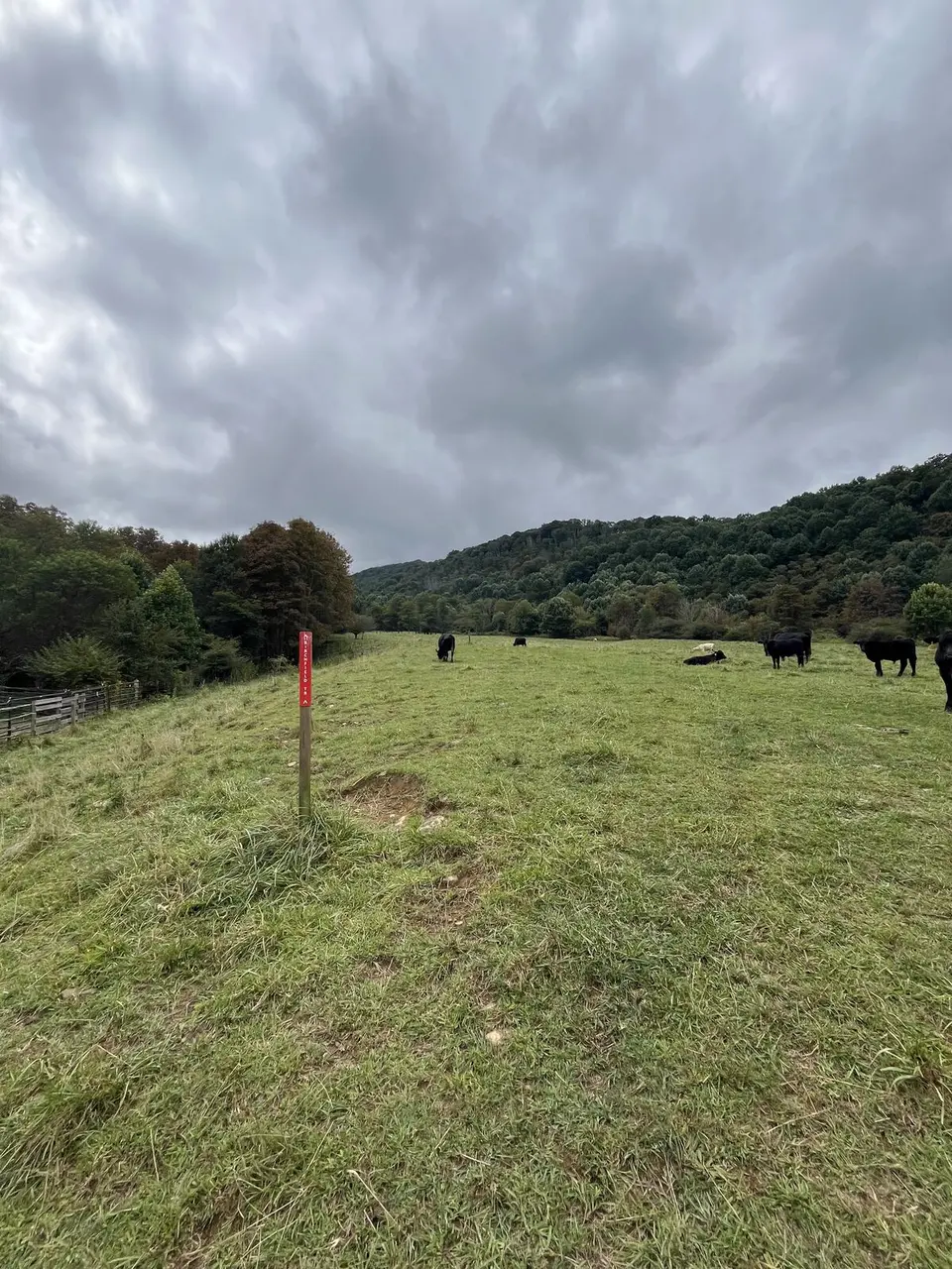 Near Roan Mountain, Tennessee — September 7, 2025