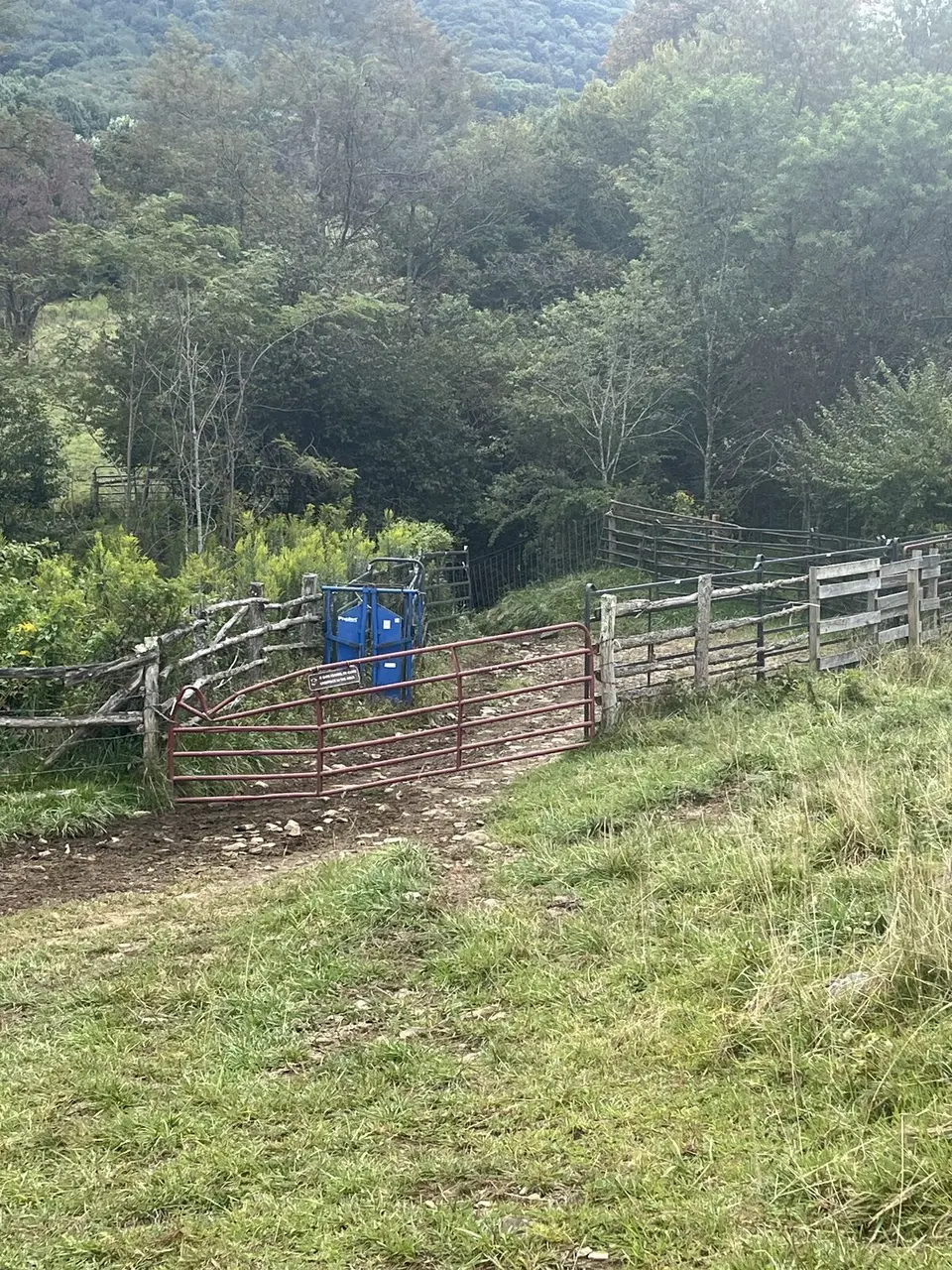 Near Roan Mountain, Tennessee — September 7, 2025