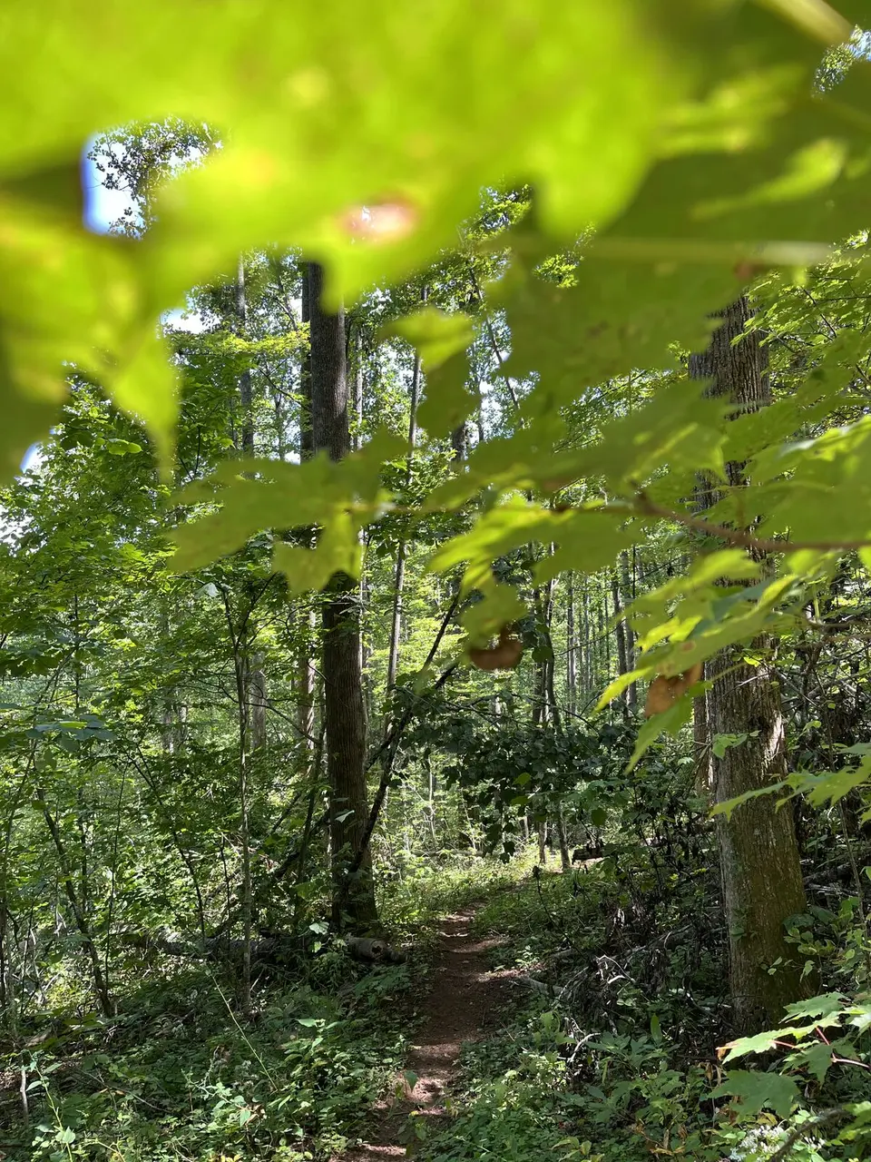 Near Spruce Pine, North Carolina — September 8, 2025