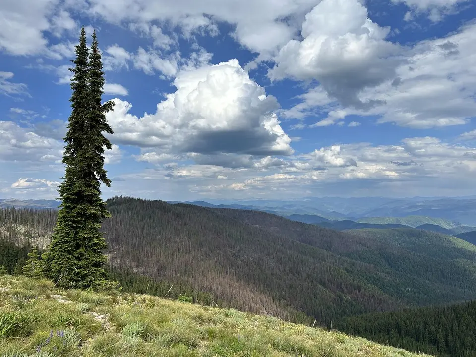 Lolo Trail — July 6, 2023