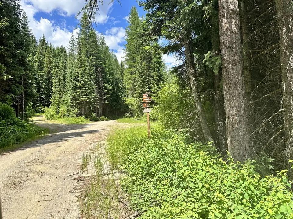 Lolo Trail — July 6, 2023
