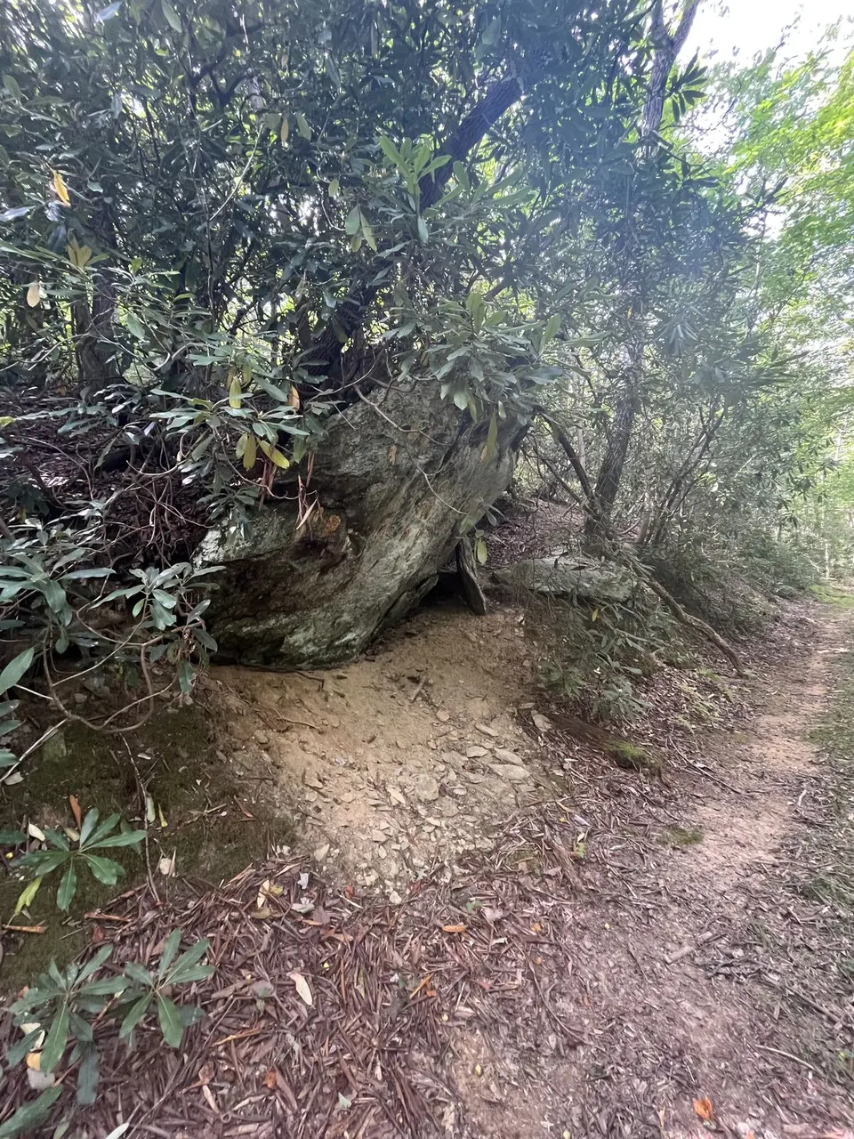 Near Marion, North Carolina — September 9, 2025