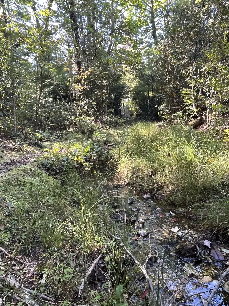 Near Spruce Pine, North Carolina — September 8, 2025