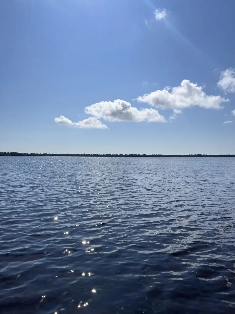 Monroe County, Florida — January 13, 2025