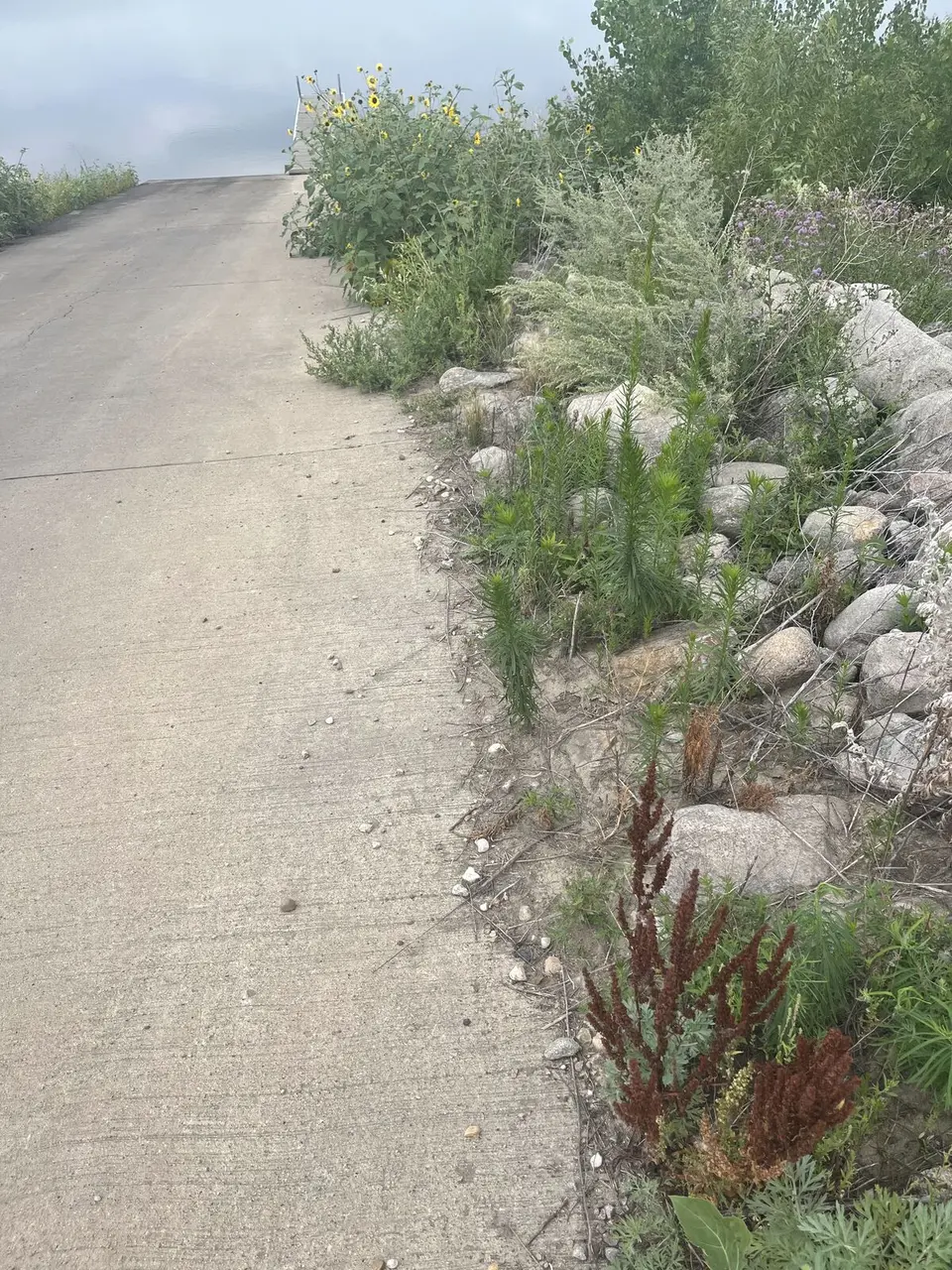 Near Fort Yates, North Dakota — August 3, 2025