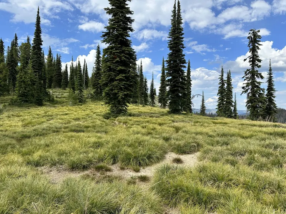 Lolo Trail — July 6, 2023