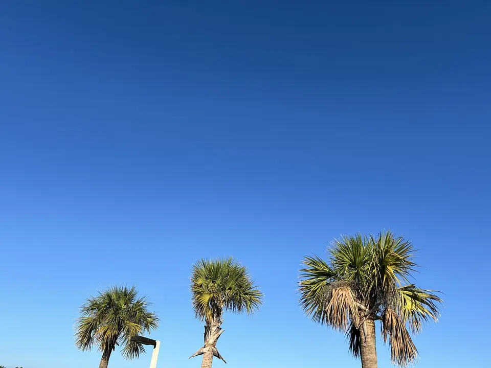 Monroe County, Florida — January 13, 2025