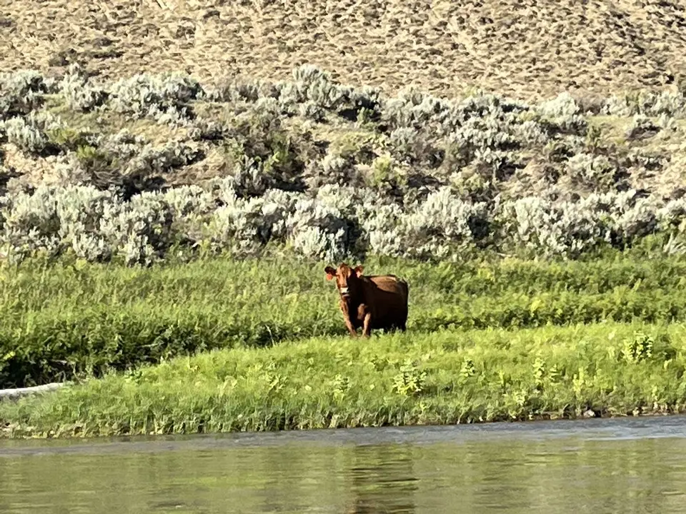 Blaine County, Montana — July 15, 2022