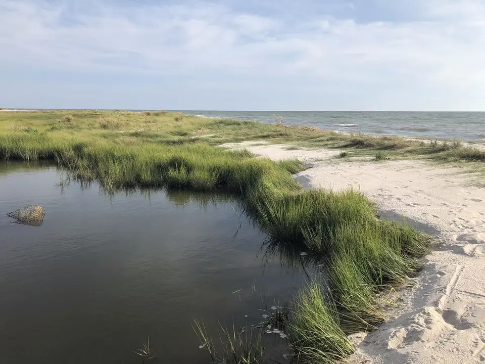Near Crisfield, Maryland — August 23, 2020