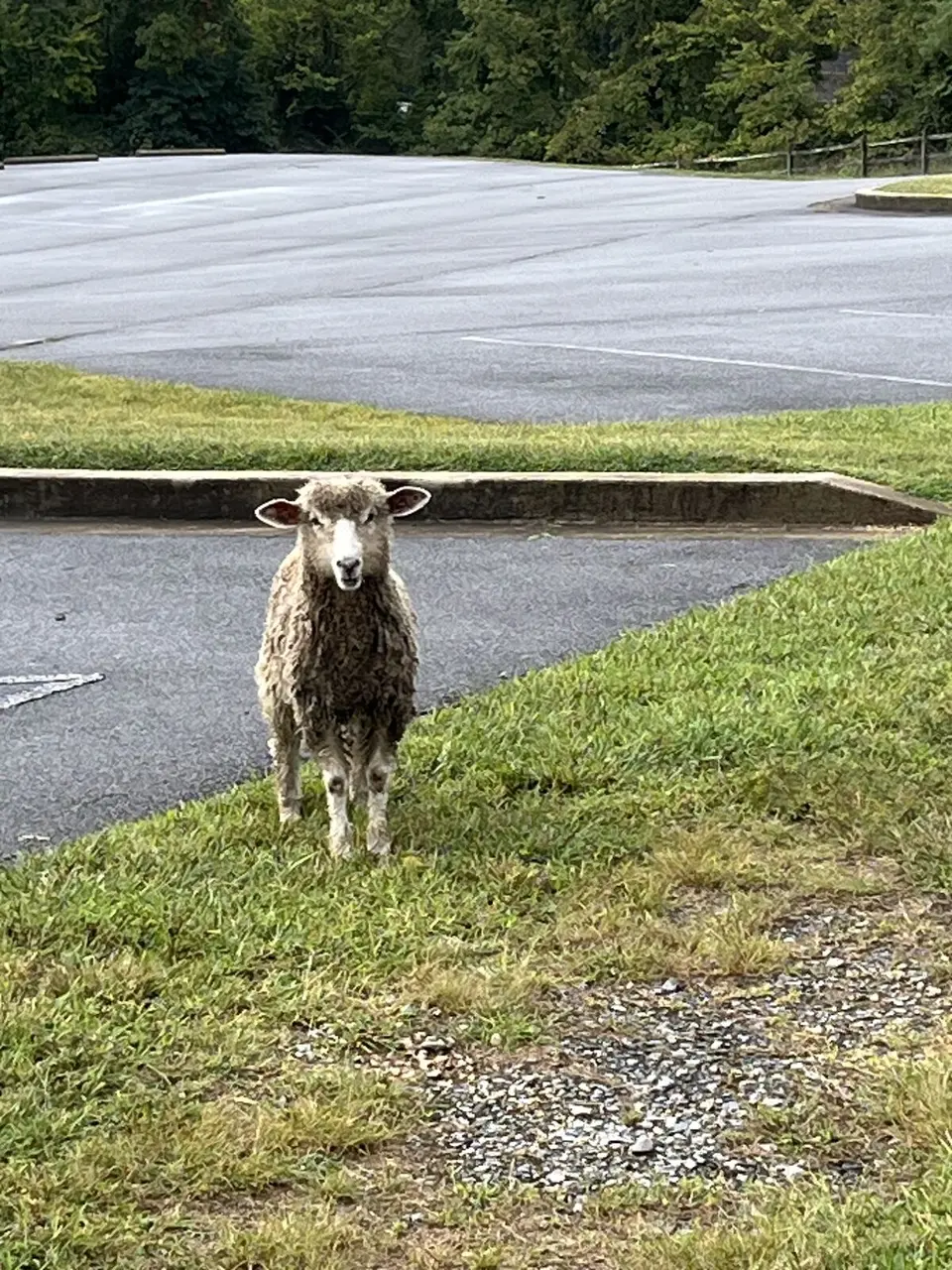 Near Oak Grove, Tennessee — September 5, 2025