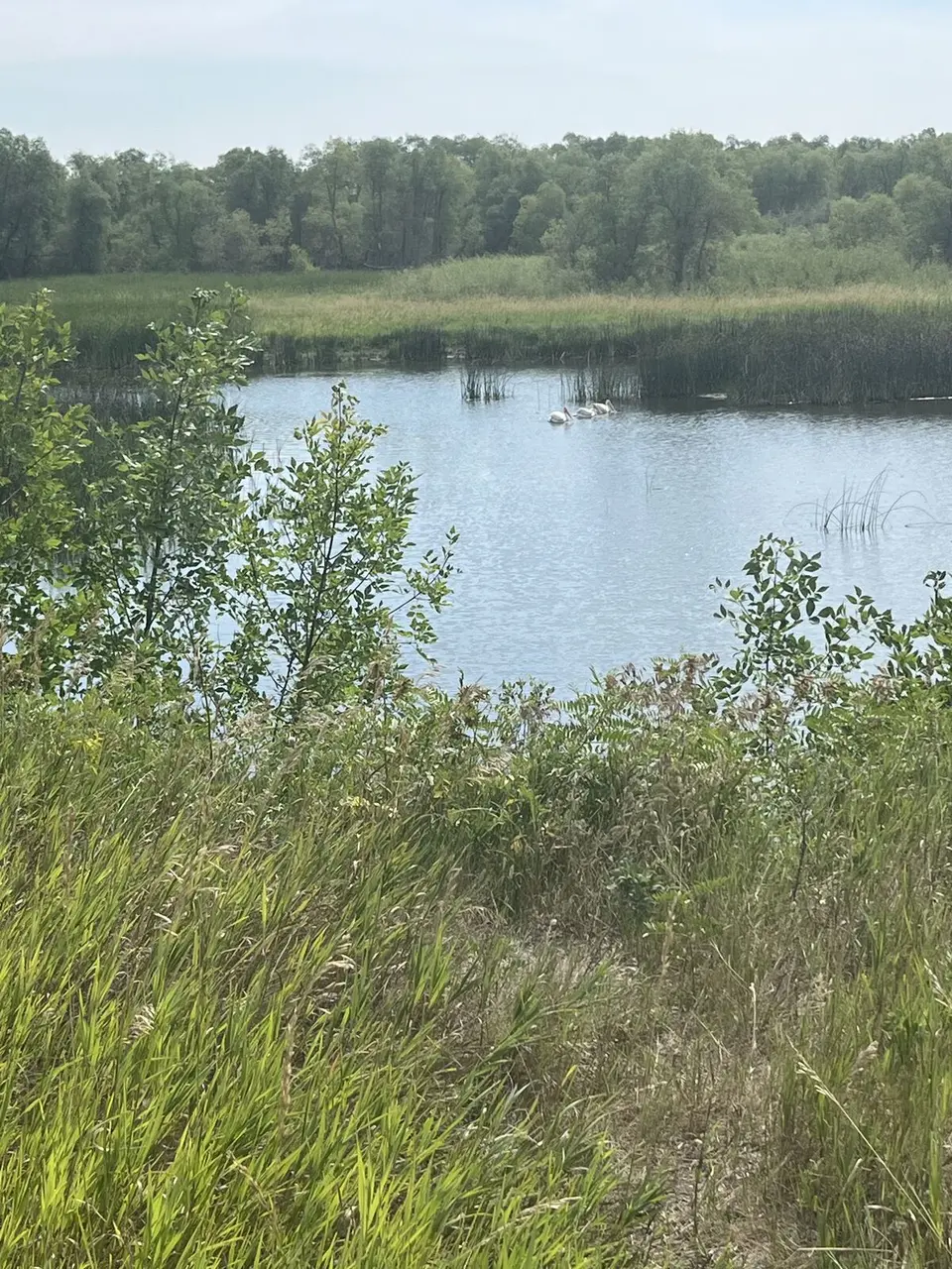 Williams County, North Dakota — August 2, 2025