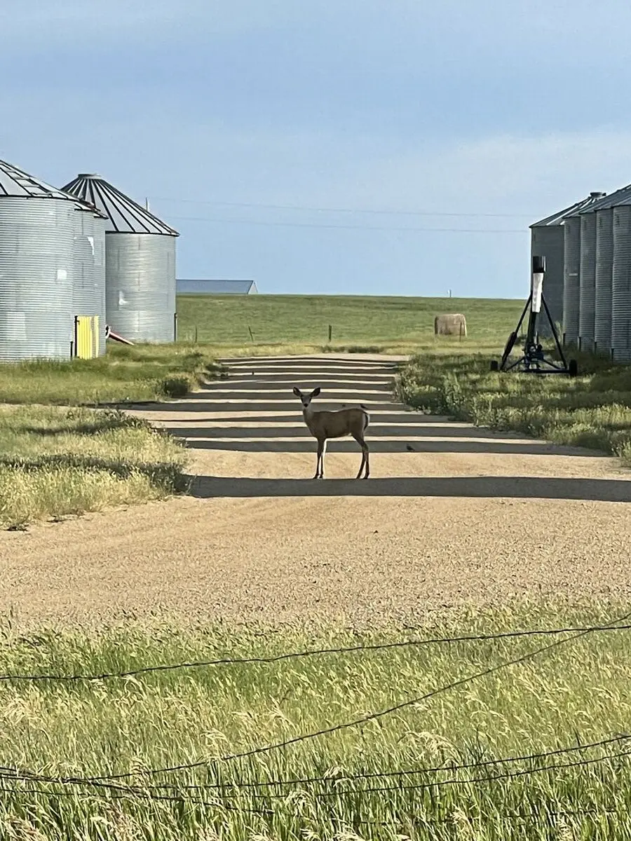 Fergus County, Montana — July 15, 2022