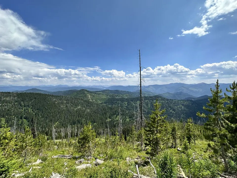 Lolo Trail — July 6, 2023