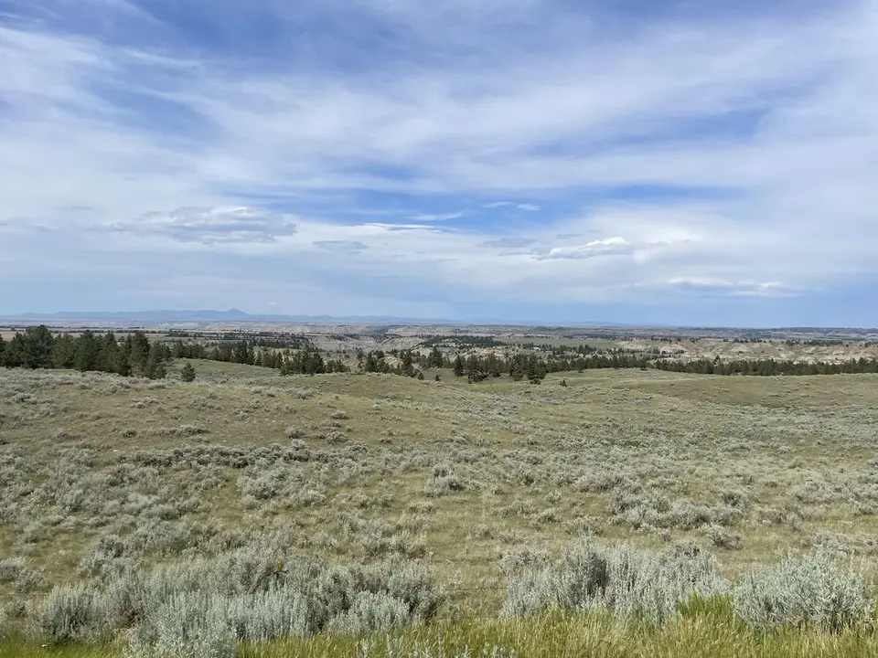 Fergus County, Montana — July 15, 2022