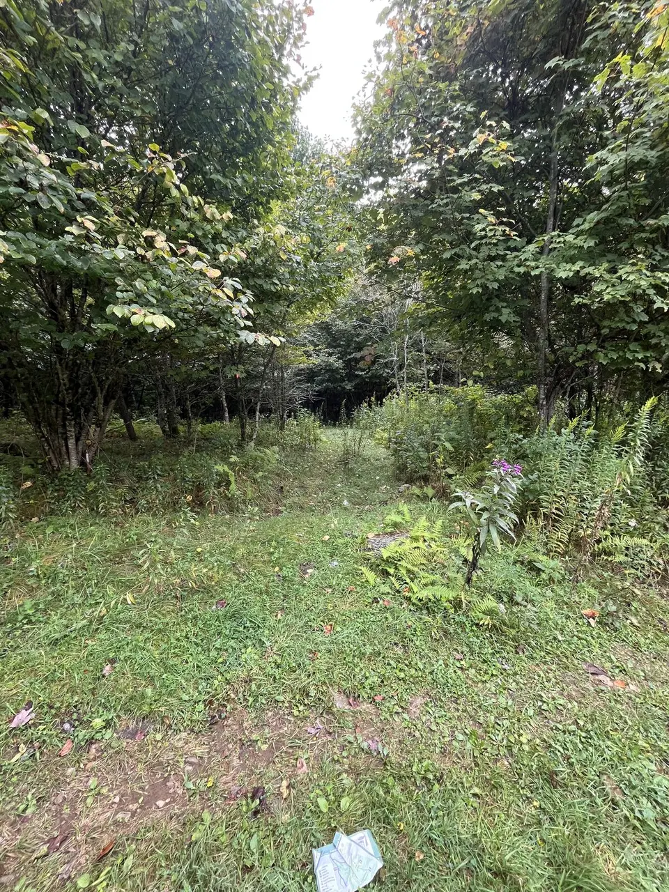 Near Roan Mountain, Tennessee — September 7, 2025