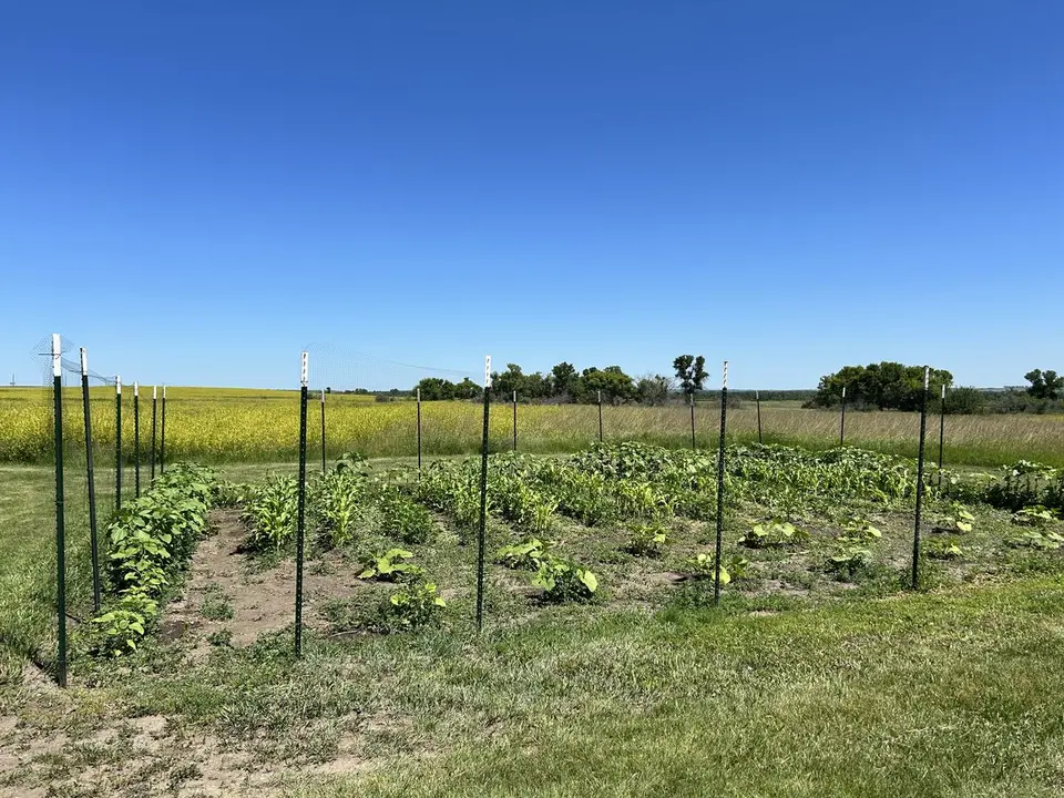Knife River, at Stanton, North Dakota — July 2, 2025