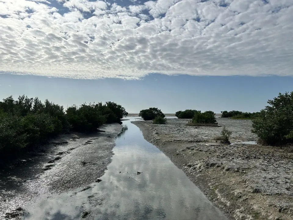 Monroe County, Florida — January 15, 2025