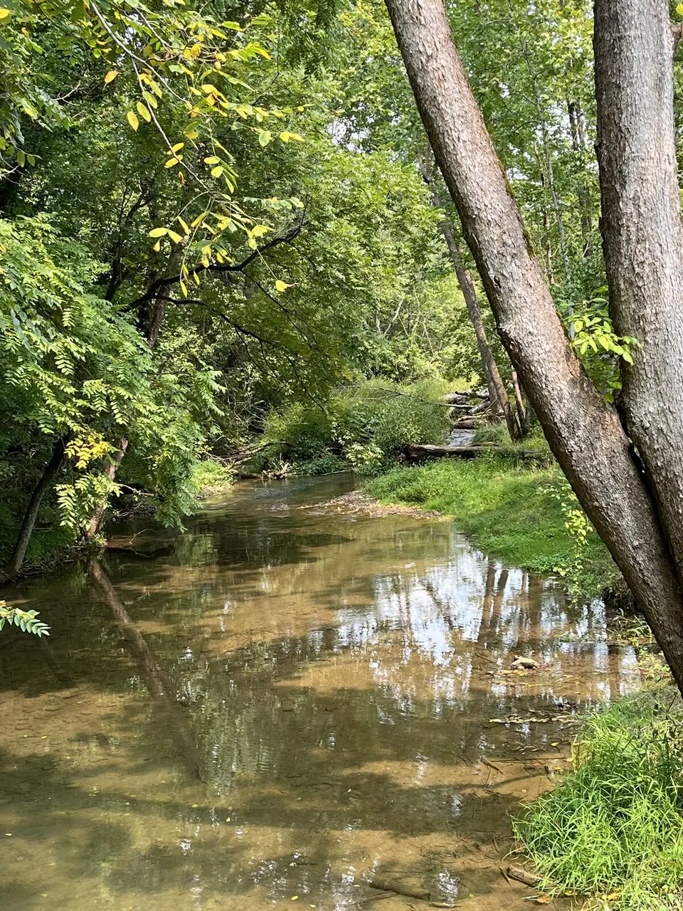 Central, Tennessee — September 5, 2025
