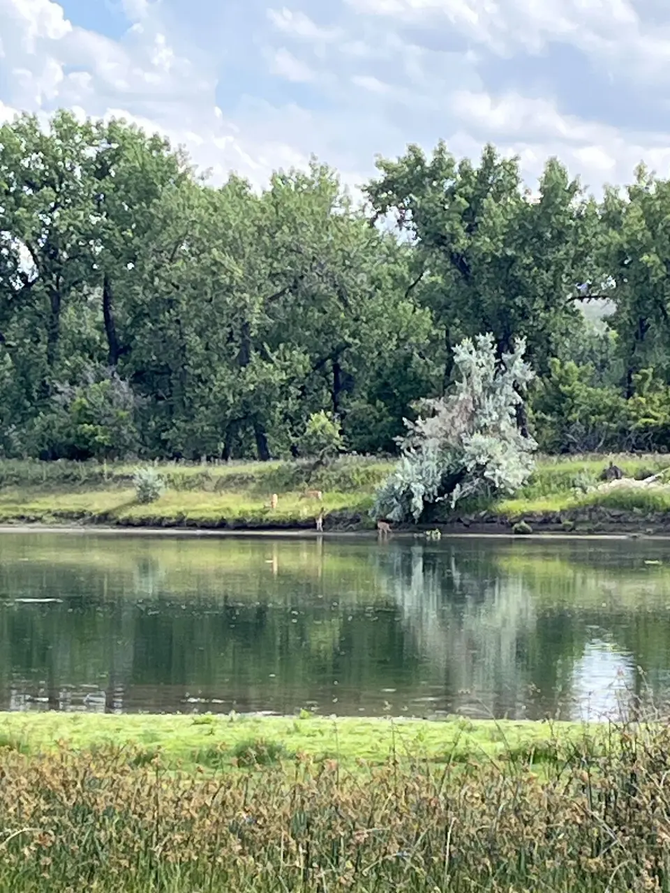 Near Great Falls, Montana — July 31, 2025