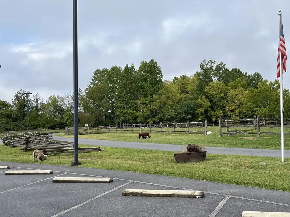 Near Oak Grove, Tennessee — September 5, 2025