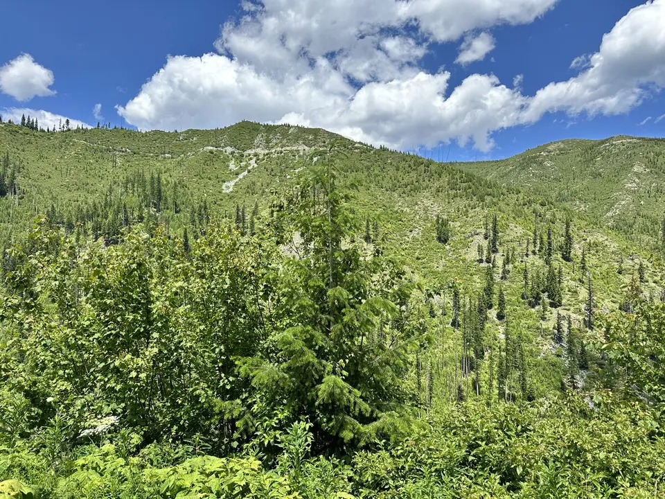 Lolo Trail — July 6, 2023