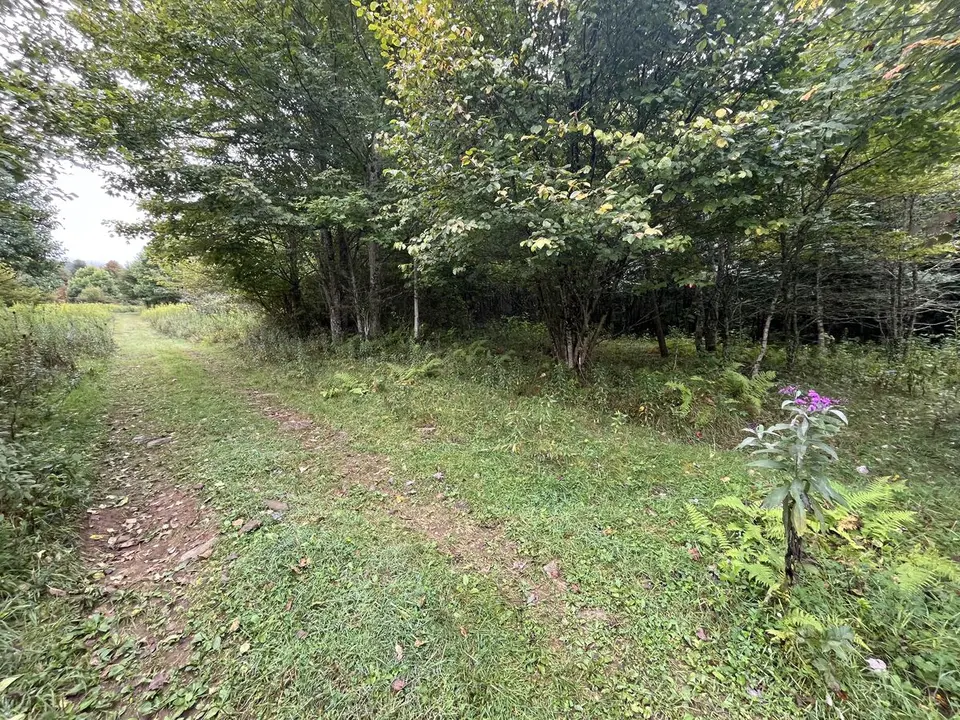 Near Roan Mountain, Tennessee — September 7, 2025