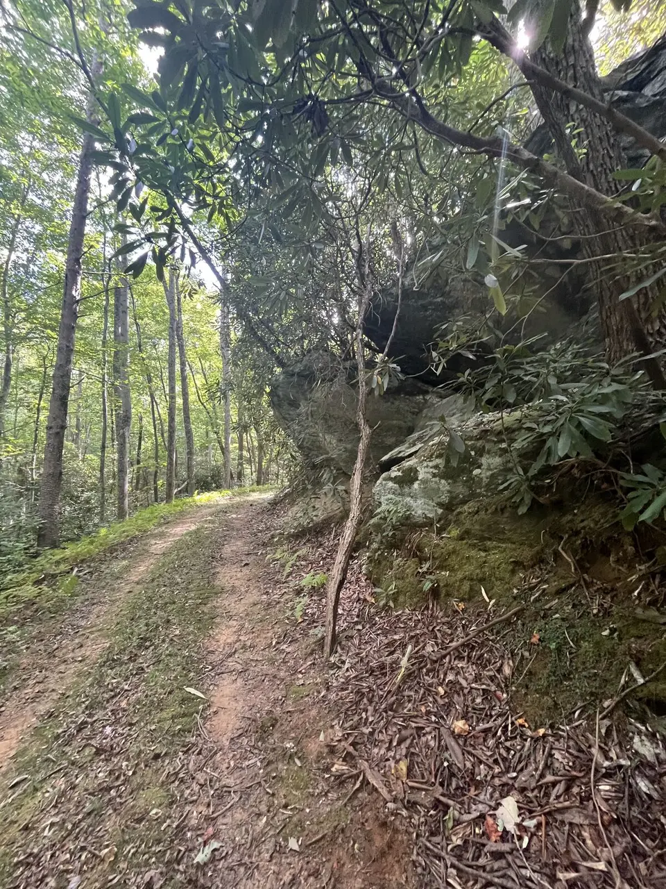 Near Marion, North Carolina — September 9, 2025