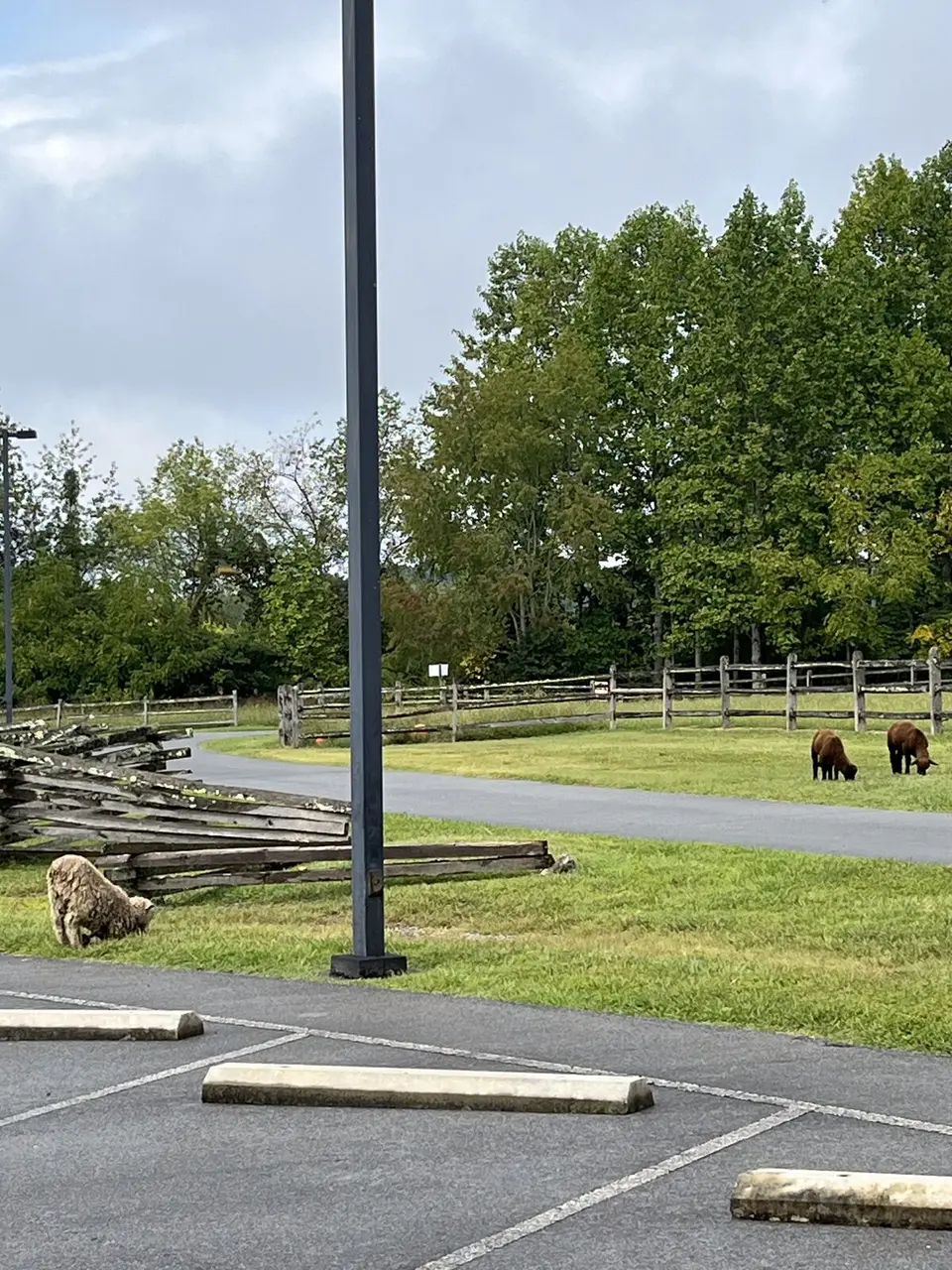 Near Oak Grove, Tennessee — September 5, 2025
