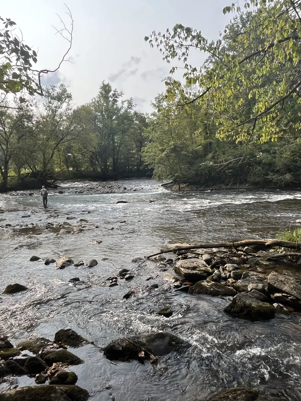 Central, Tennessee — September 5, 2025