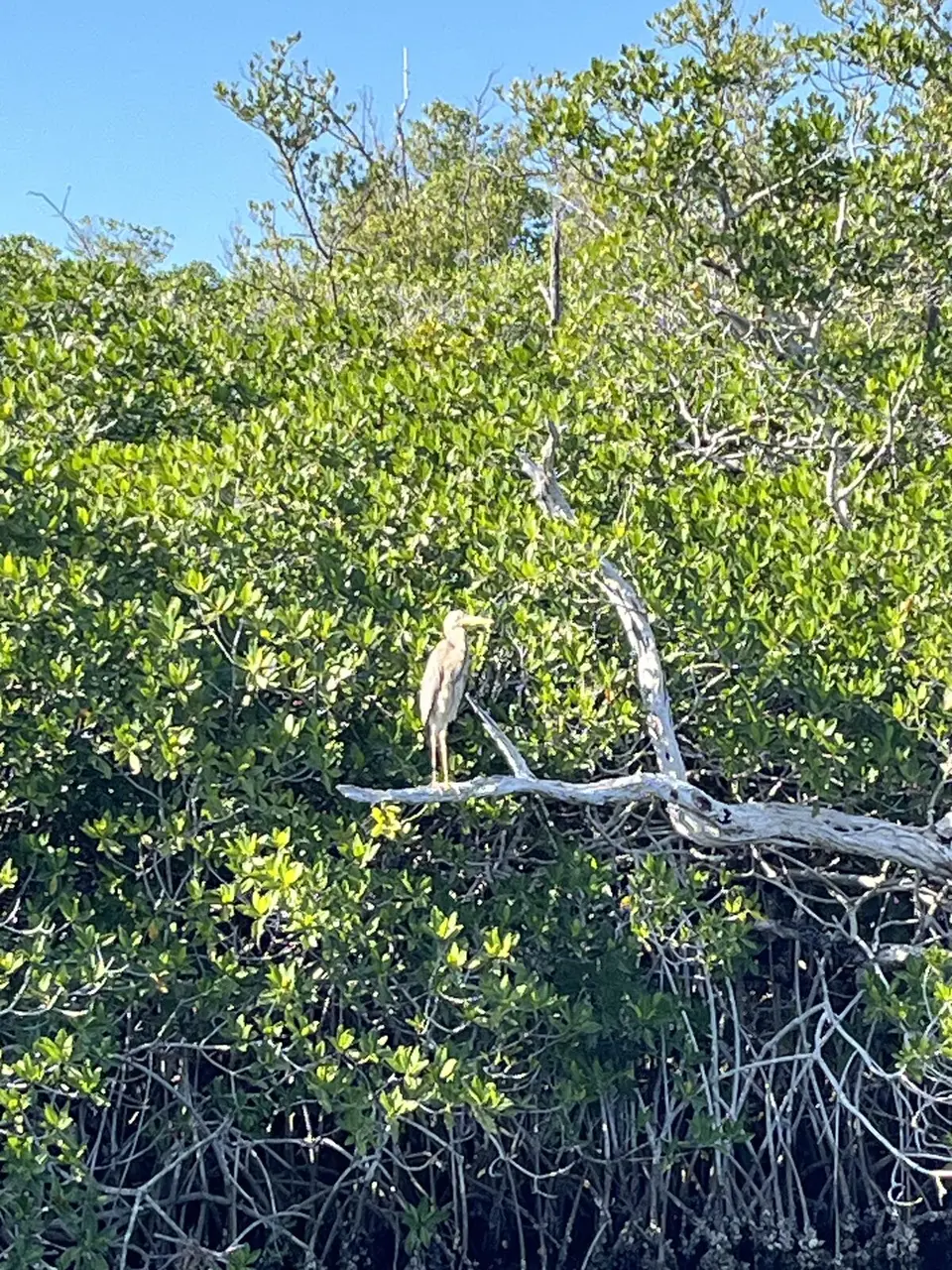 Monroe County, Florida — January 13, 2025