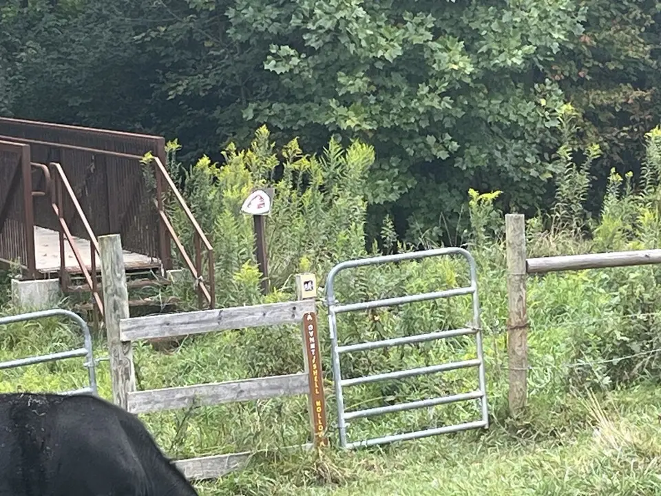Near Roan Mountain, Tennessee — September 7, 2025