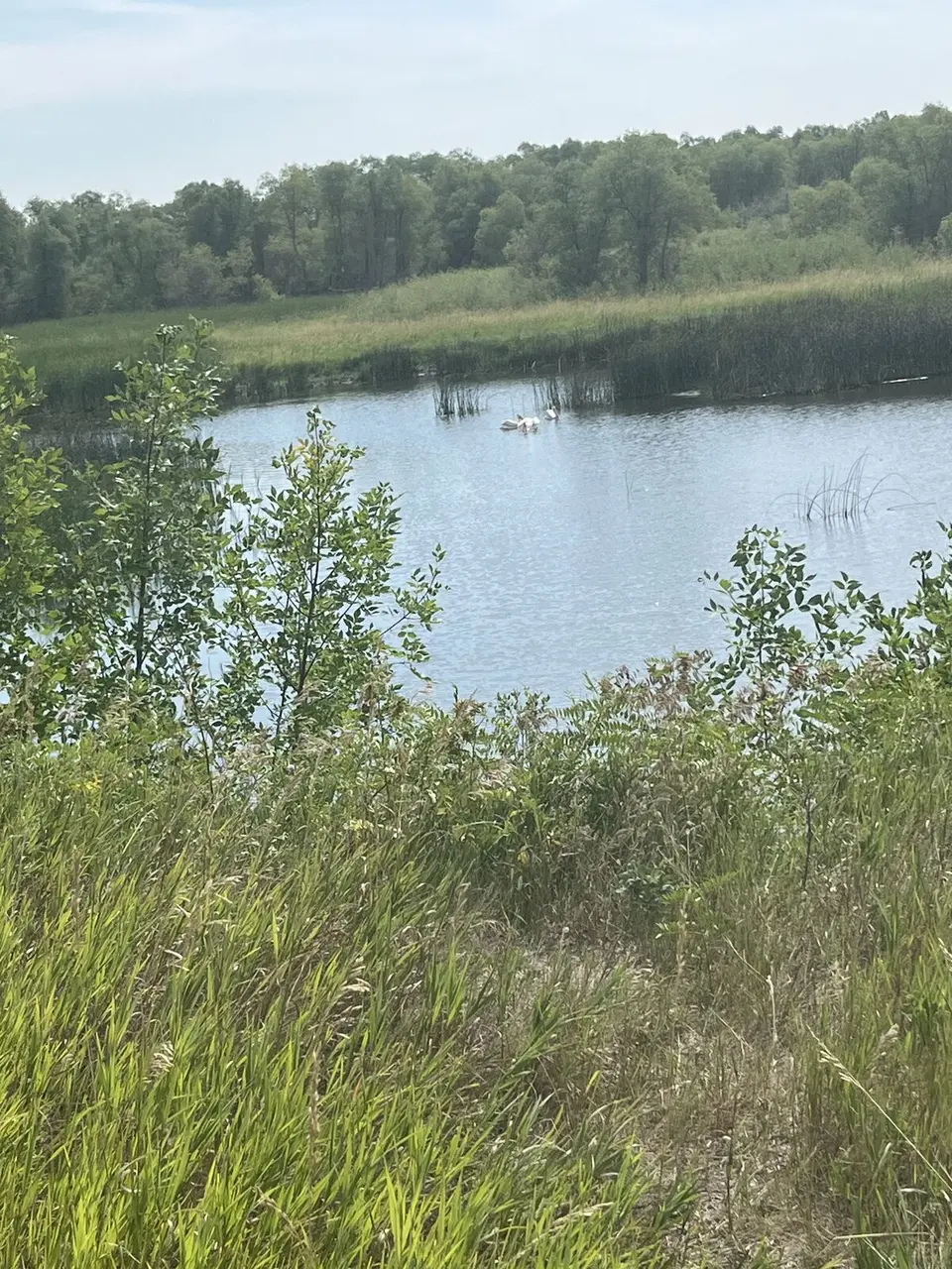 Williams County, North Dakota — August 2, 2025