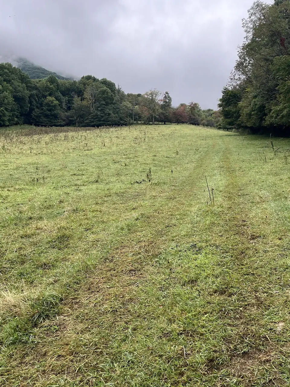 Near Roan Mountain, Tennessee — September 7, 2025