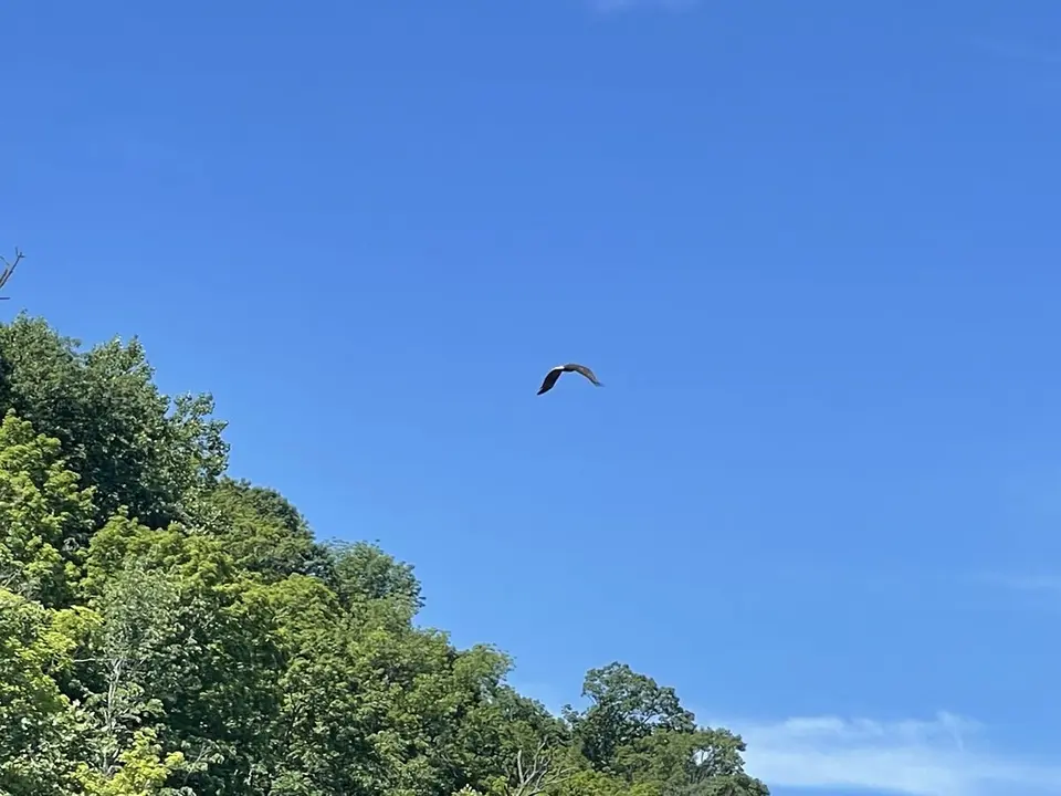 Ohio River, near Buckner, Kentucky — June 24, 2022