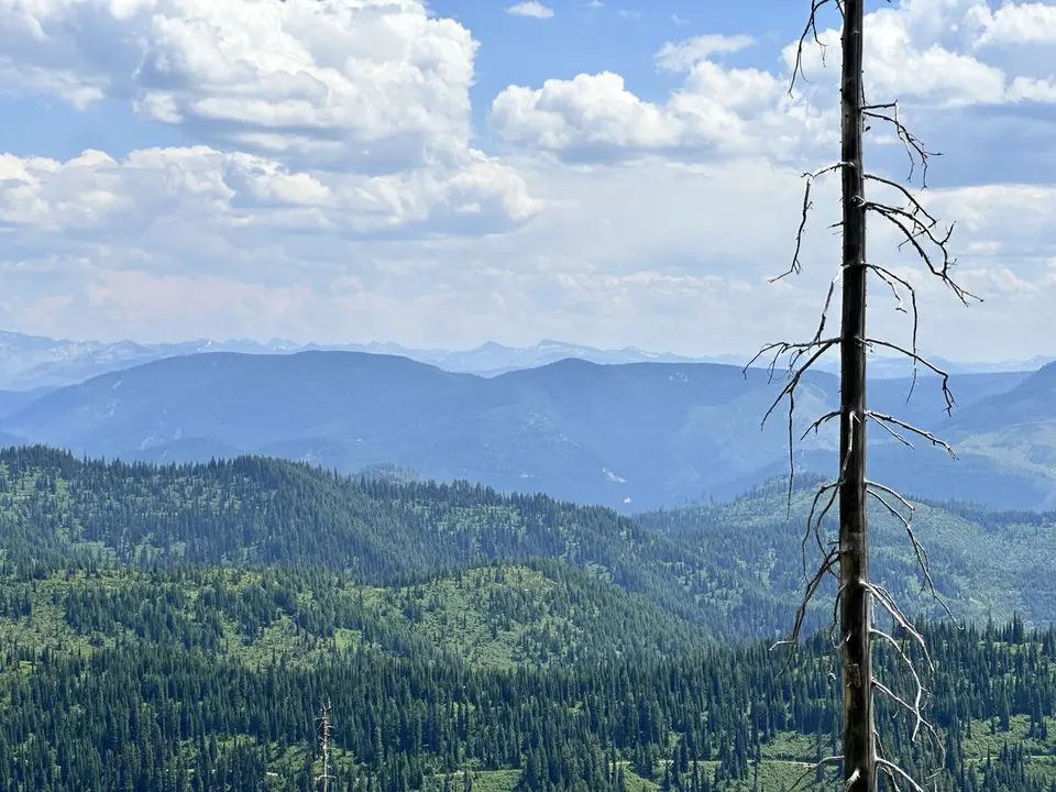 Lolo Trail — July 6, 2023